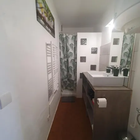 Apartment Les Palmiers Sainte-Maxime